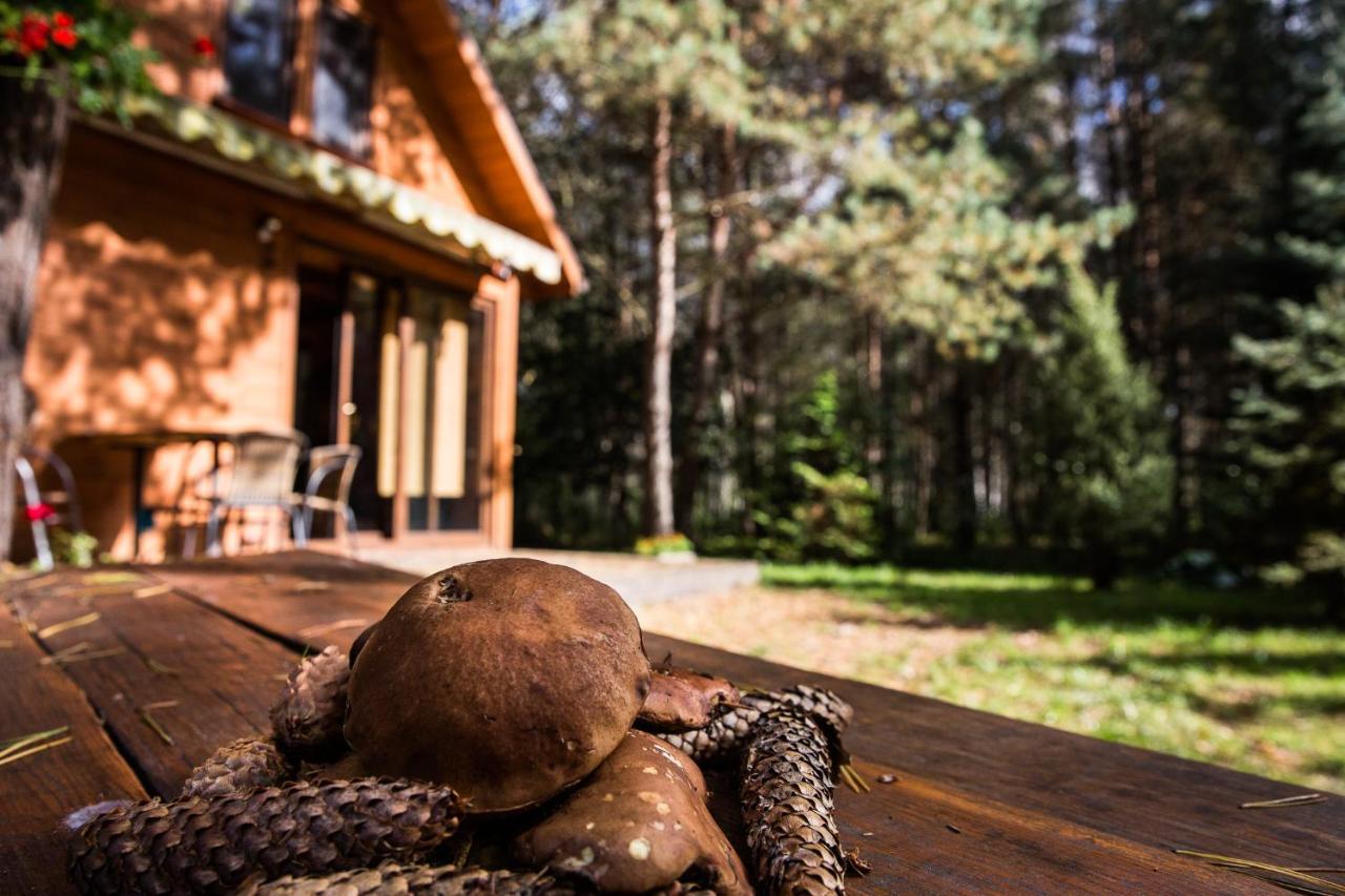 Domek Pod Klonem Zary  Екстериор снимка